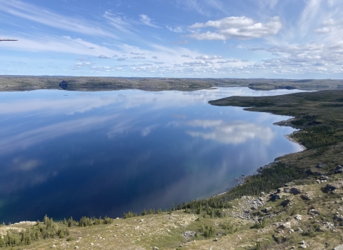 scenic landscape with forest and water with a light blue sky above