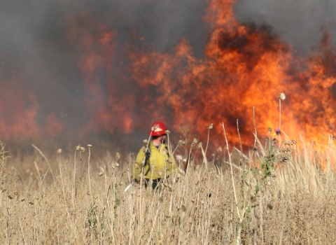 person in yellow suit and red hard hat in a grassy field with a smoking fire in the background