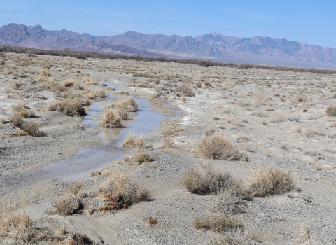 From top to bottom, blue skies, purple mountains, desert landscape with small shrubs all tan. Small body of stream-like water in the middle