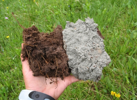 A hand holding two clumps of soil, one brown and one gray
