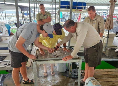 Norfork National Fish Hatchery and Arkansas Game and Fish emplyees sifting through sand in search of mussels.