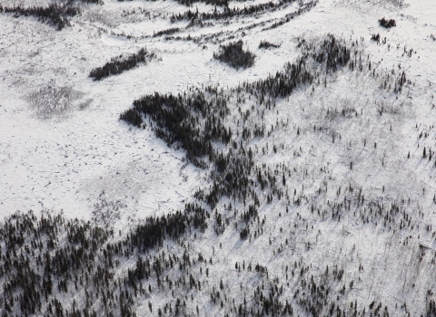 Aerial view of Yukon Flats Landscape and Boreal forest 