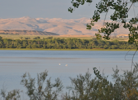 Two distant pelicans in the center of a lake with small mountain formations in the background