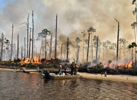 Prescribed burn on island