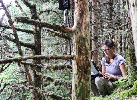 A woman crouching in a forest entering data in a computer