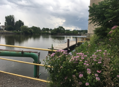 Riverbank pollinator garden with boat dock