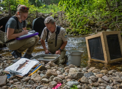LCFWCO - Fish Sampling