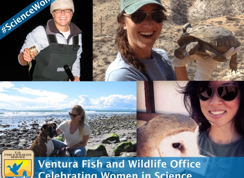 A collage of female scientists