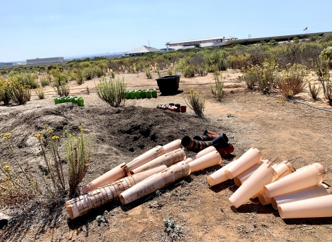 Area being restored with native plants. Cones lie on the bottom half of photo and towards the left, a mound of soil. In the background there are watering cans and tall native plants planted from previous years. 