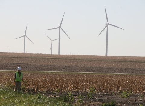 Person walking in an agricultural field with wind turbines in the background.