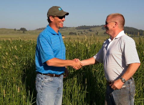 Two smiling men standing in a field of tall grass shake hands.