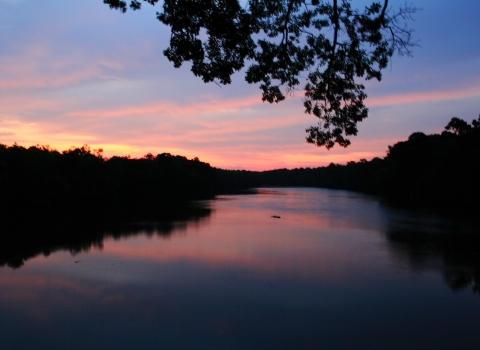 Sunrise view from the Visitor's Center at Waccamaw National Wildlife Refuge