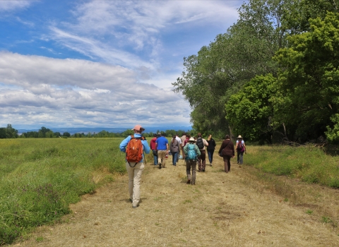A dozen people walk along a trail with wetlands on one side and trees on the other.