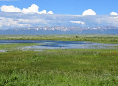 Clouds hover over wetland with snow capped mountains in the background.