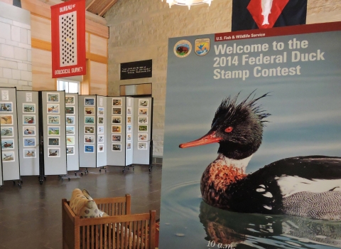 Federal Duck Stamp display in the lobby of the National Conservation Training Center. 
