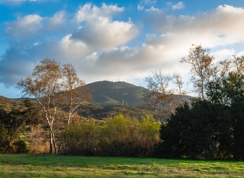 Green grassy space up in the forefront with trees in the middle and rolling hills in the background.