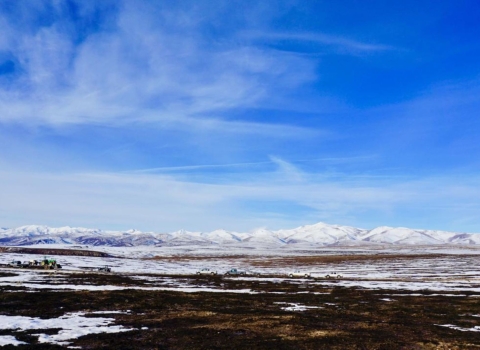 Snow covering a charred landscape with snow capped mountains in the background.