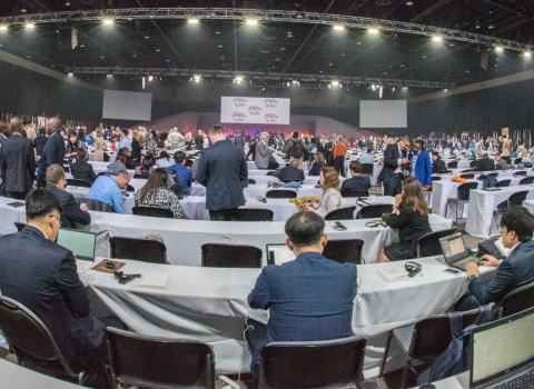 A fish-eye shot of an international convention, many tables, flags, and people having conversations, indoors.