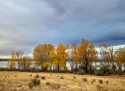 Trees display fall colors along a lakeshore