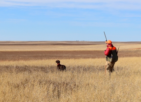 Hunter and his dog pursue upland game birds in the prairie at Lacreek National Wildlife Refuge in South Dakota.