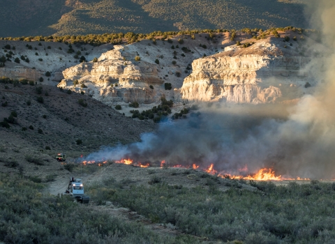 A view of the sagebrush steppe landscape with rock cliff faces in the background that are illuminated with sun. In front of the cliffs are small flames from a prescribed fire and in front of the flames are fire vehicles driving through the sagebrush.