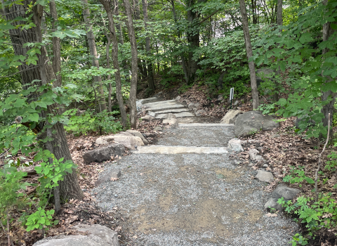 a stone stairway leads down into the forest