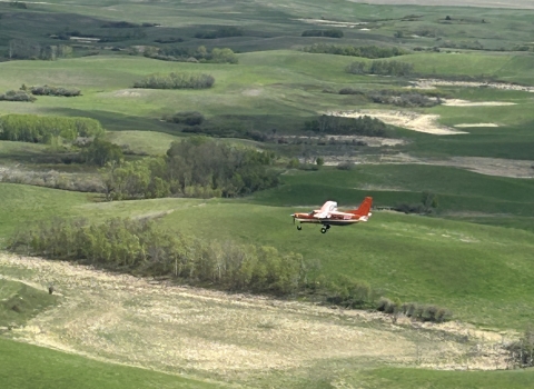 aerial view of an airplane in flight