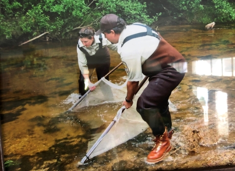 Holly and Jeff using net to survey for rare fish in Florida creek.