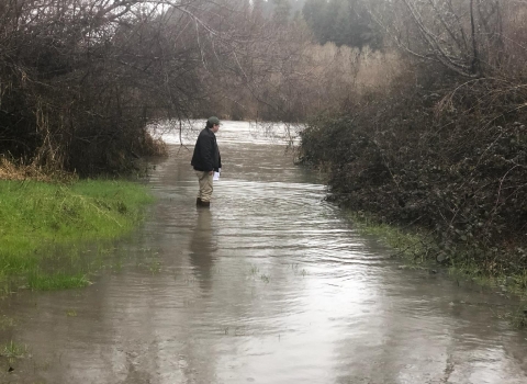 man standing in a flooded creek
