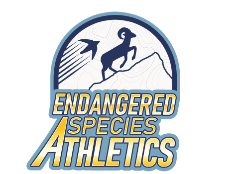 logo that shows a silhouette of a bighorn sheet and bird going up the side of a mountain with the text "Endangered Species Athletics"