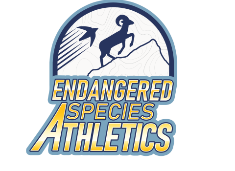 logo that shows a silhouette of a bighorn sheet and bird going up the side of a mountain with the text "Endangered Species Athletics"