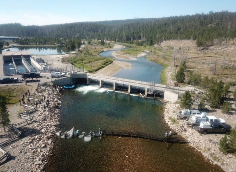 An aerial view of a river with a structure spanning across it. People are in the river with nets, rounding up fish.