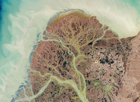 A satellite view of a braided river delta.