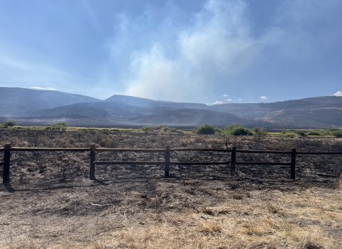 Landscape view shows grass field and fence blackened from wildfire damage, with smoke emanating and hills in the distance. 