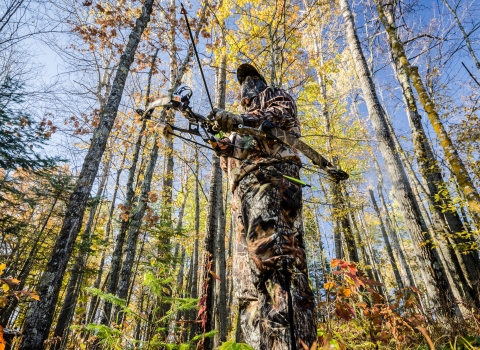 Bow hunter standing in the woods.