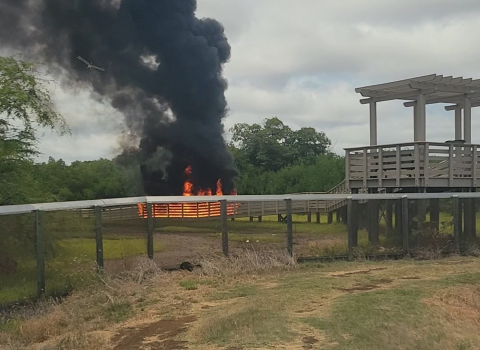 Boardwalk burning on background at Betty Bliss overlook, with foreground showing predator exclusion fence