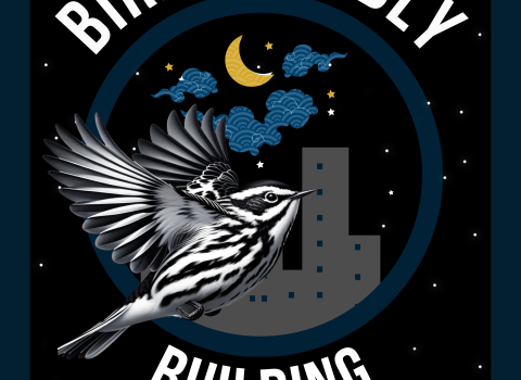 Bird friendly building sign