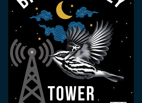 Bird friendly tower sign