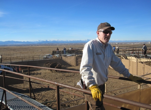 A man in a USFWS uniform, cap, and gloves walks on a ramp.