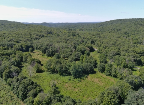 an expanse of green forest and fields, with blue sky and clouds