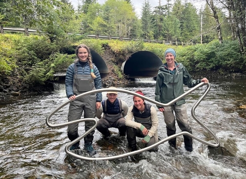 4 people sanding downstream of undersized road culverts in a stream holding a big metal fish