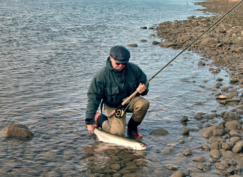 Rich Steele With Steehead Caught With Maribou