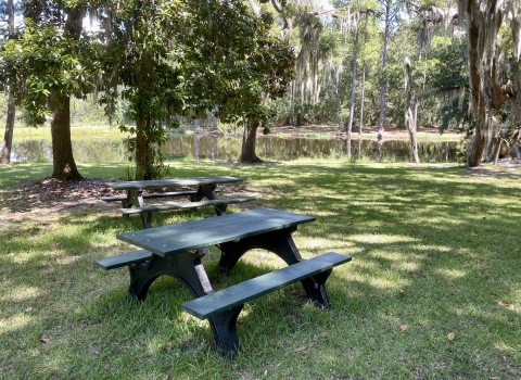 Grassy field with 2 picnic tables sitting in the shad of a tree with a pond in the background