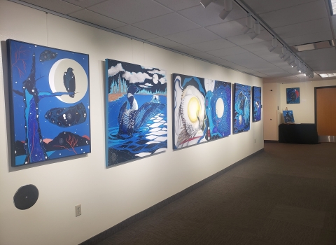 Photo of artwork hanging on walls in the Confluence Gallery that depicts various birds against water and starry skies.