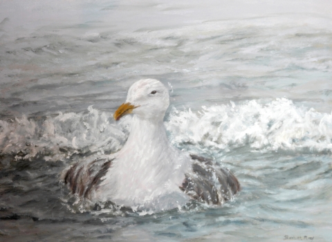 Gull in surf