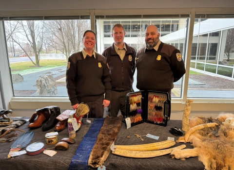 Three uniformed wildlife inspectors stand behind a table with animal skins and skulls