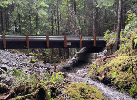 a bridge over a wooded creek