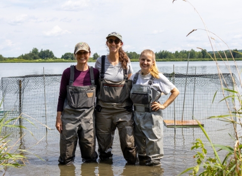 three people in waders stand in a wetland