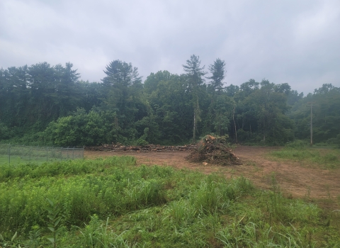 Storm damage - 300 ft of logs piled 10ft high and 15ft wide with a 5ton debris pile 