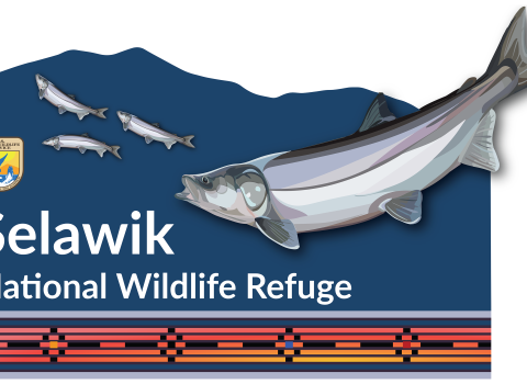 A blue sign with "Selawik National Wildlife Refuge" in text and an illustration of sheefish with a geometric design at the bottom